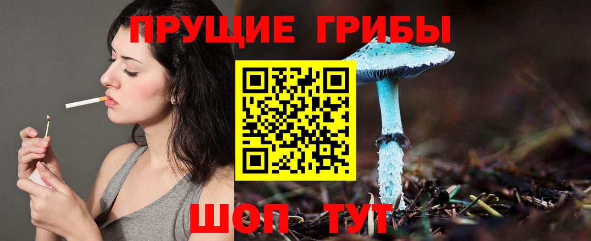 Ангарск  Галлюциногенные грибы мухоморы  Вход с VPN  Псилоцибиновые грибы Psilocybine cubensis 